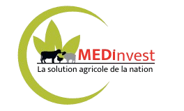 MEDinvest Logo